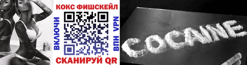купить наркоту  Кинешма  COCAIN FishScale 
