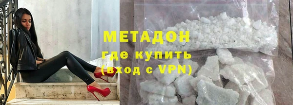 сатива Беломорск