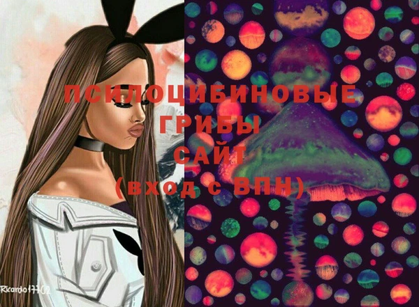 сатива Беломорск