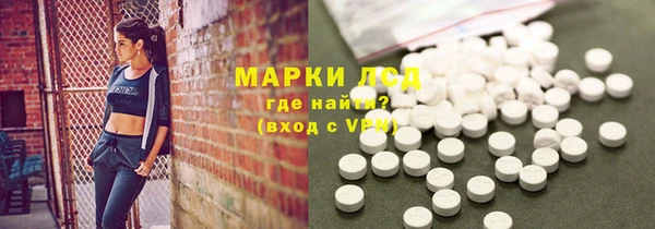 сатива Беломорск