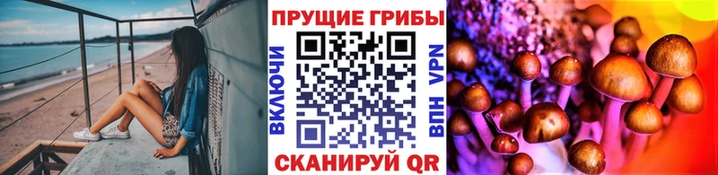 Псилоцибиновые грибы Cubensis  купить наркоту  Кинешма 